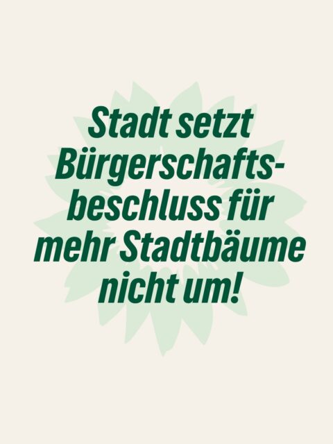 🌳 Beschlüsse der Bürgerschaft sind kein Wunschzettel!
Im Januar 2024 hat die Lübecker Bürgerschaft einstimmig mehr Stadtbäume beschlossen. Zweieinhalb Jahre später zeigt der Bericht der Verwaltung: Ein erheblicher Teil des Auftrags wurde schlicht nicht umgesetzt.
❌ Die beschlossenen 20 neuen Bäume pro Jahr auf der Altstadtinsel wurden verfehlt.
❌ Das bis Juni 2024 geforderte Straßenbaumkonzept soll frühestens ab 2028 erstellt werden.
❌ Die vollständige Ersatzpflanzung gefällter Straßenbäume bis Ende 2027 hält die Verwaltung für nicht leistbar.
Das ist angesichts der Klimakrise nicht hinnehmbar.
🌡️ Gerade nach diesem Hitzesommer wissen wir, wie wichtig Stadtgrün ist. Bäume spenden Schatten, senken die Temperaturen, verbessern das Mikroklima und machen unsere Stadt widerstandsfähiger gegen die Folgen des Klimawandels.
Die Verwaltung verschleppt hier ein wichtiges Zukunftsthema. Besonders enttäuschend ist, dass es nicht einmal gelungen ist, die beschlossenen 20 neuen Bäume pro Jahr in der Altstadt zu pflanzen.
Ein politischer Beschluss ist kein unverbindlicher Wunschzettel, sondern ein bindender Handlungsauftrag. Wenn die Bürgerschaft etwas beschließt, muss die Verwaltung die Voraussetzungen schaffen, um es umzusetzen.
Dass das Straßenbaumkonzept nun frühestens 2028 kommen soll – vier Jahre später als beschlossen – können und wollen wir uns angesichts der Klimakrise nicht leisten.
Wir brauchen endlich mehr Tempo und einen klaren Plan für die Begrünung Lübecks. Die Stadt muss liefern.
#gruene #gruenefraktionluebeck #lübeck #stadtgrün #hitze